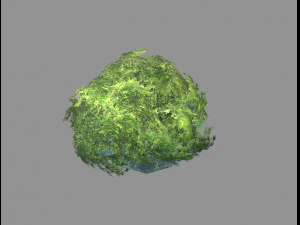 low poly tree 3D Model
