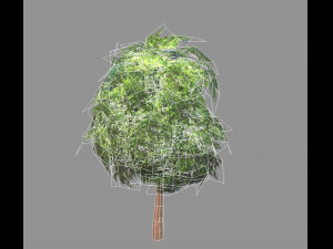 low poly tree Model 3D