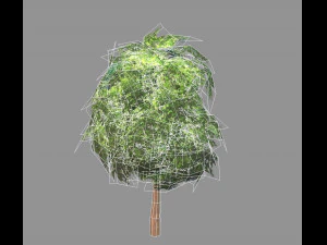 low poly tree 3D Model