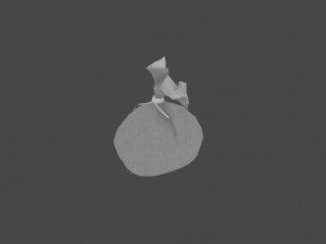 3d animated canvas sack 3D 模型