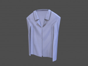shirt model 3D 모델
