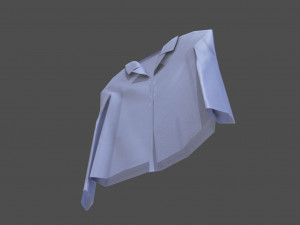 shirt model 3D Model
