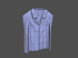 shirt model 3D Model
