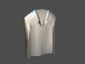 shirt model 3D Model