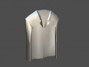 shirt model 3D Model
