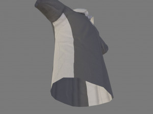 polo shirt 3D Model