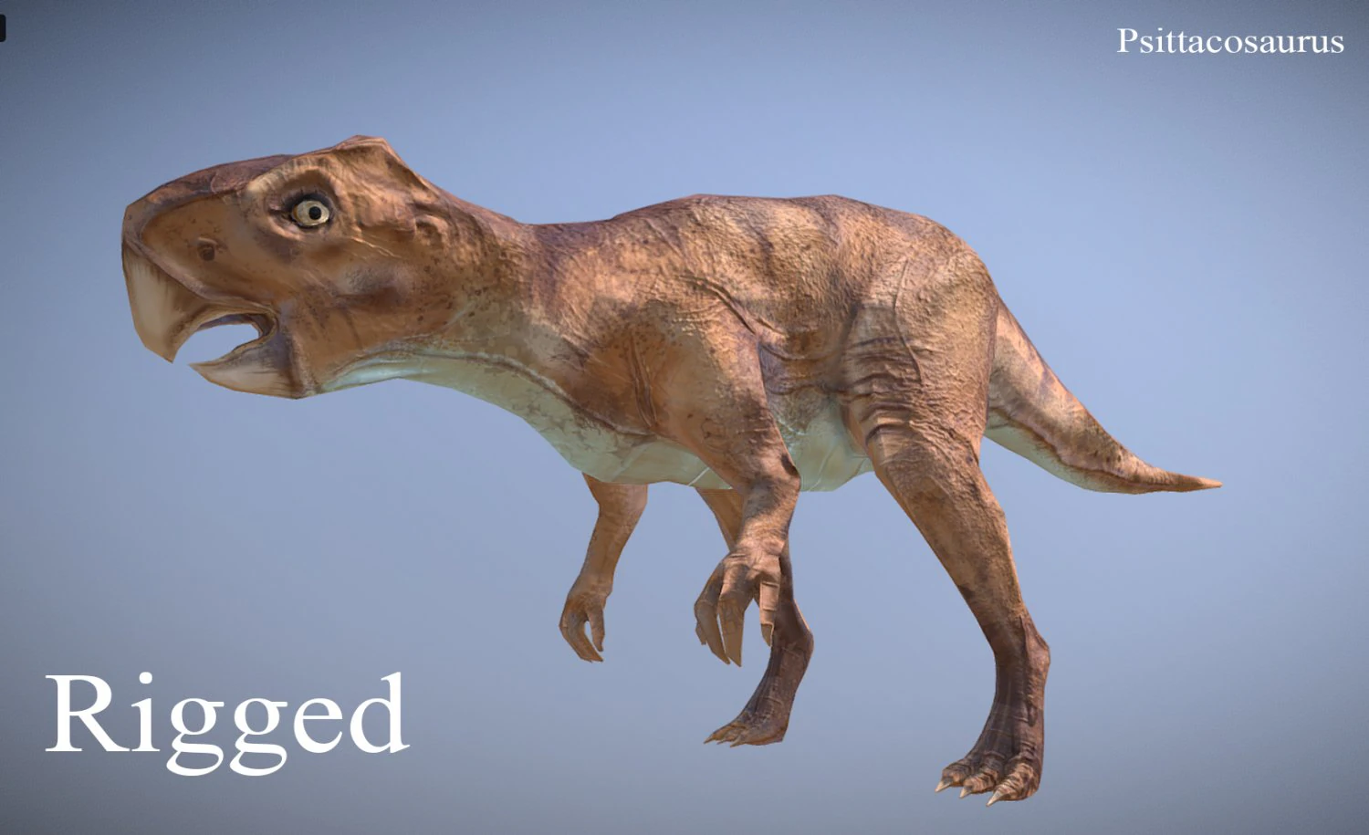 thai dinosaur psittacosaurus 3D Model .c4d .max .obj .3ds .fbx .stl .blend 