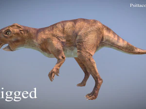 thai dinosaur psittacosaurus 3D Model
