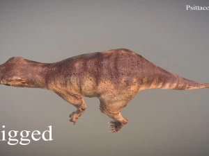 thai dinosaur psittacosaurus 3D Model