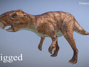thai dinosaur psittacosaurus 3D Model