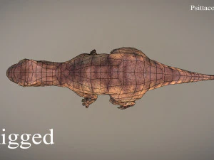 thai dinosaur psittacosaurus 3D Model