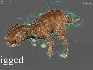 thai dinosaur psittacosaurus 3D Model
