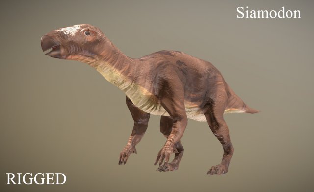 thai dinosaur siamodon Model 3D .c4d .max .obj .3ds .fbx .stl .blend 