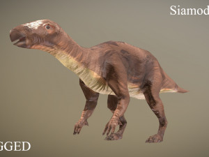 thai dinosaur siamodon 3D Model