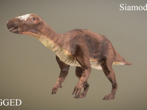 thai dinosaur siamodon Modello 3D