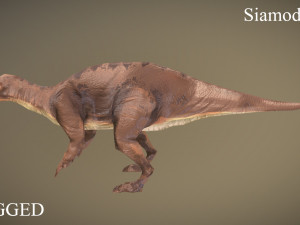 thai dinosaur siamodon Model 3D