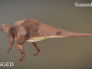 thai dinosaur siamodon Model 3D