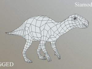 thai dinosaur siamodon Model 3D