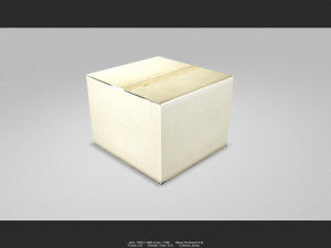 box 01 3D Model