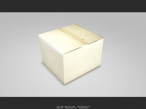 box 01 Model 3D