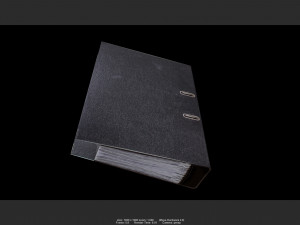 file 01 3D 模型