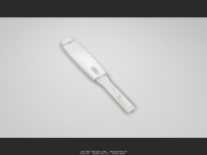 pregnancy 01 3D Model