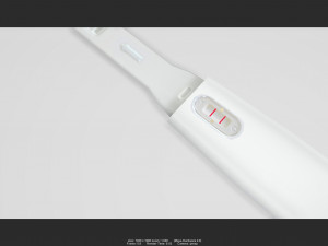 pregnancy 01 3D Model