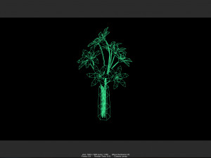 vase 01 3D 模型