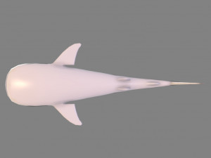 whale shark 3D मॉडल