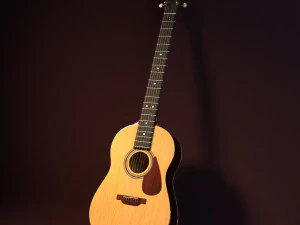 Taylor gitarı 3D Model