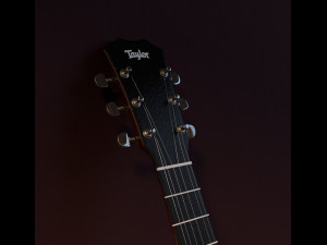 taylor guitar 3D Model