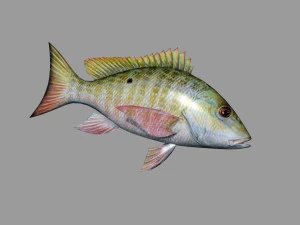 рыбный переулок 3D Модель