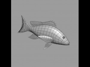fish lane snapper 3D मॉडल