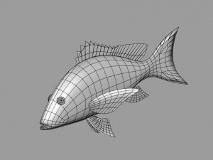 fish lane snapper 3D मॉडल