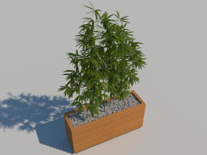 wooden planter box with bamboos and pebbles Modèle 3D
