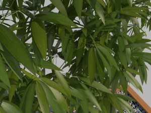 wooden planter box with bamboos and pebbles Modèle 3D