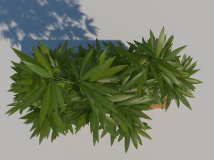 wooden planter box with bamboos and pebbles Modèle 3D