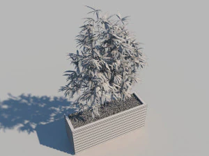 wooden planter box with bamboos and pebbles 3D Model