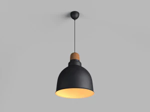 anthracite industrial pendant lamp with wooden detail 3D Model