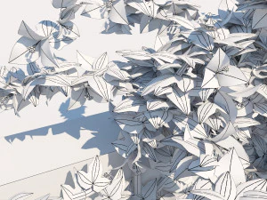 bougainvillea glabra 3D Model