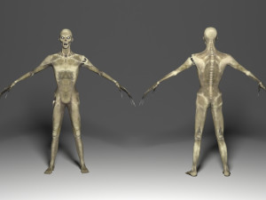 zombie animated 3Dモデル