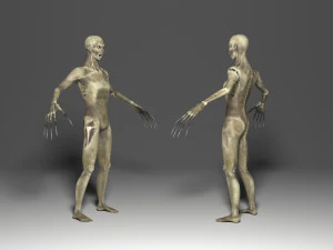 animasi zombie Model 3D