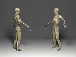 animasi zombie Model 3D