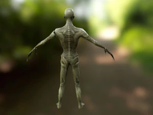 animasi zombie Model 3D