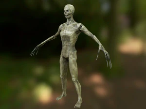 animasi zombie Model 3D