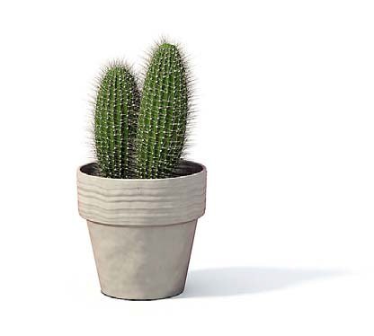flower pot 1 3D मॉडल .c4d .max .obj .3ds .fbx .stl .blend 