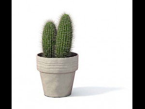 flower pot 1 3D मॉडल