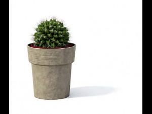 flower pot 1 3D मॉडल