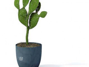 flower pot 1 3D मॉडल