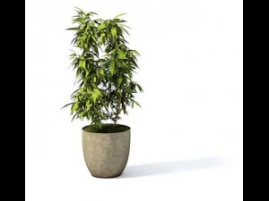 flower pot 2 3D Model